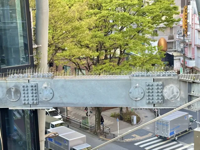 梁の上部に設けられたバードストッパー