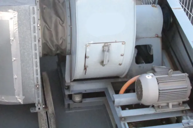 電線管が接続された汎用電動機