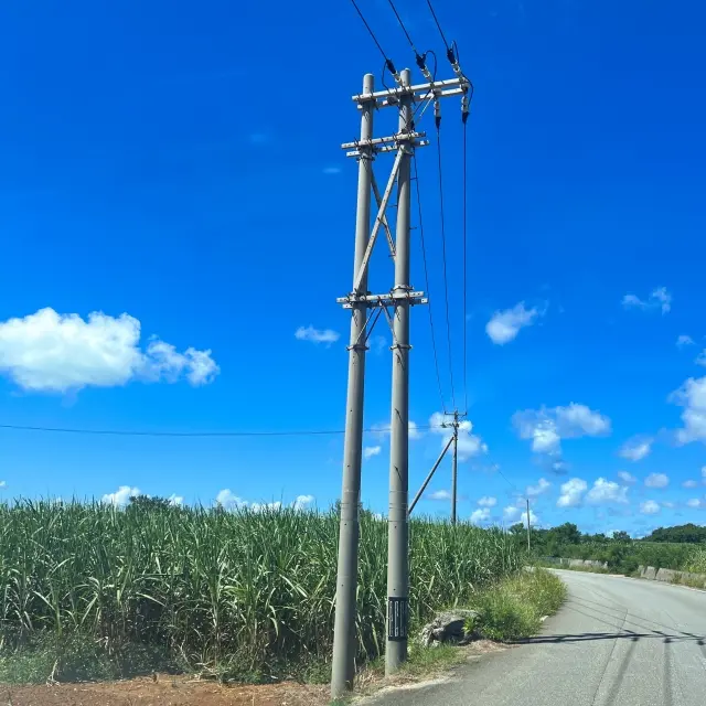 田舎に建てられた電柱の写真