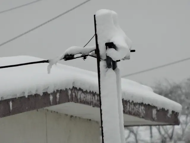 電線に着雪している写真