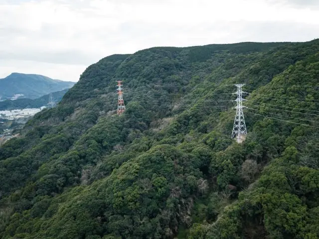 森林を渡る送電鉄塔の写真